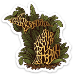 Morel Mushroom - Michigan - Waterproof Sticker 3
