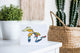 Great Lakes Wave Greeting Card