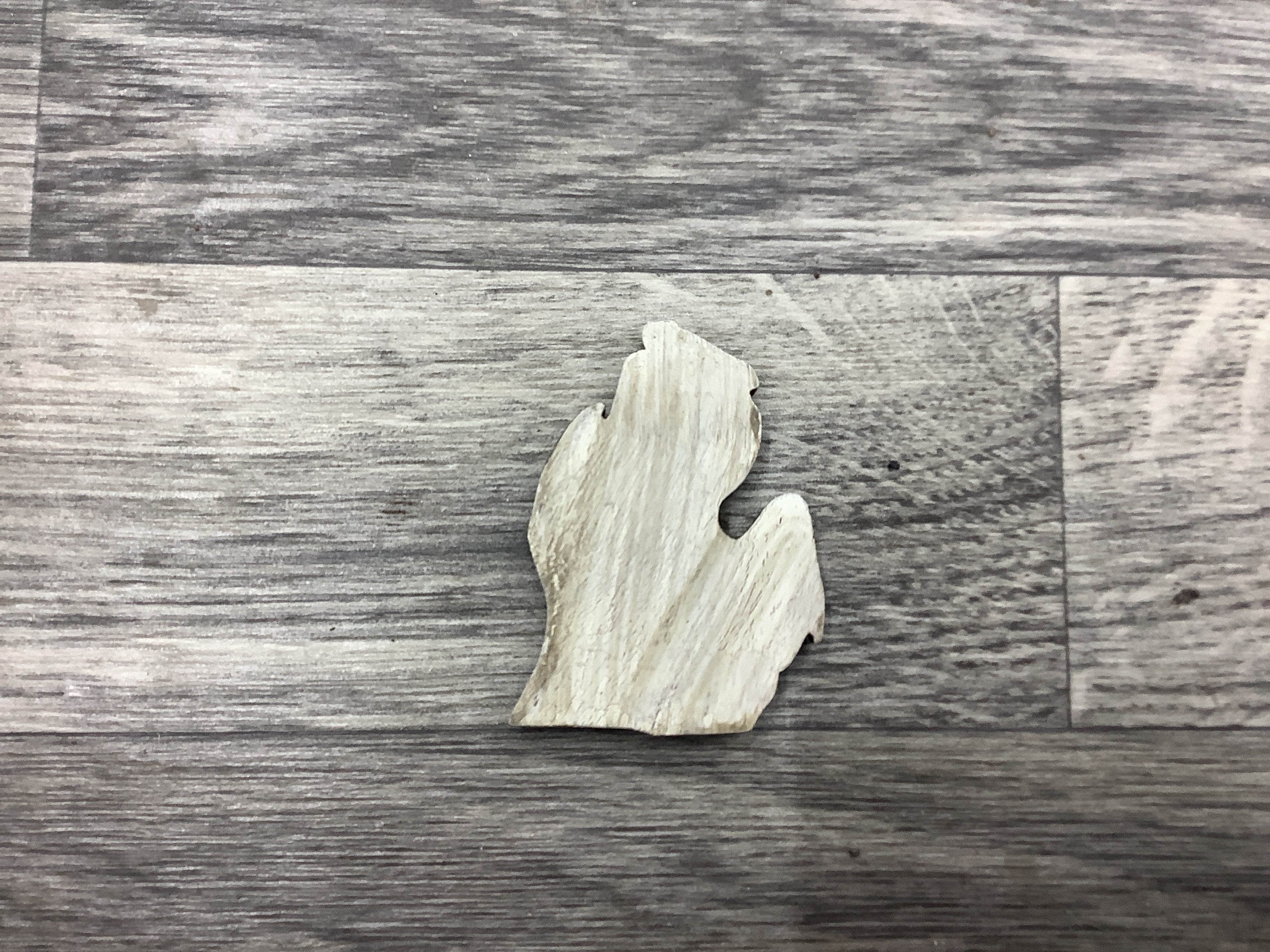 Weathered Walnut Lower Michigan Magnet