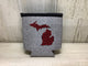 Red Plaid - Michigan - Heather Gray Koozie