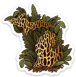Morel Mushroom - Michigan - Waterproof Sticker (3