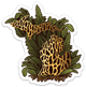 Morel Mushroom - Michigan - Waterproof Sticker 3" X 3"