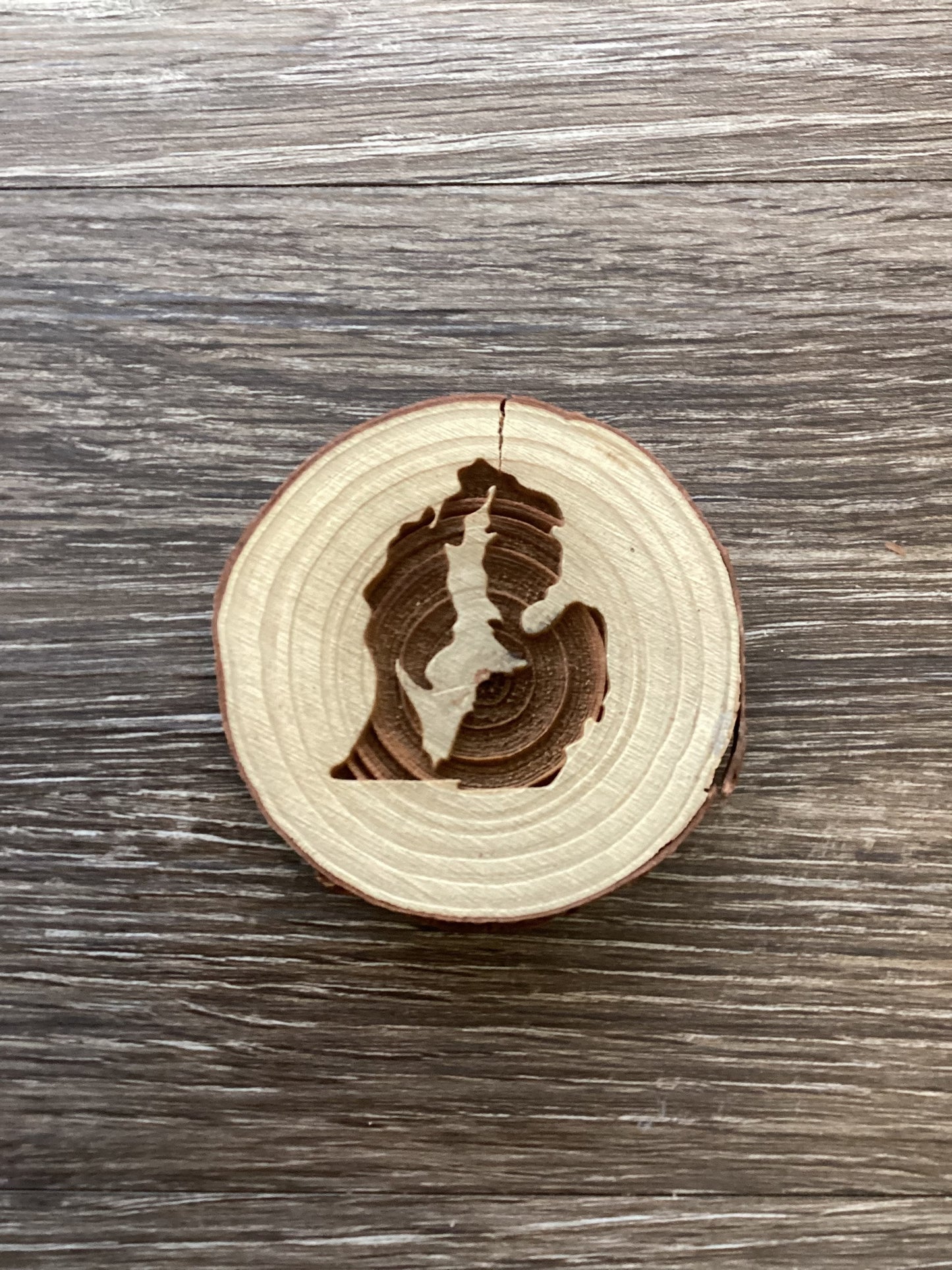 Up Inside Lp - Michigan - Wooden Log Magnet