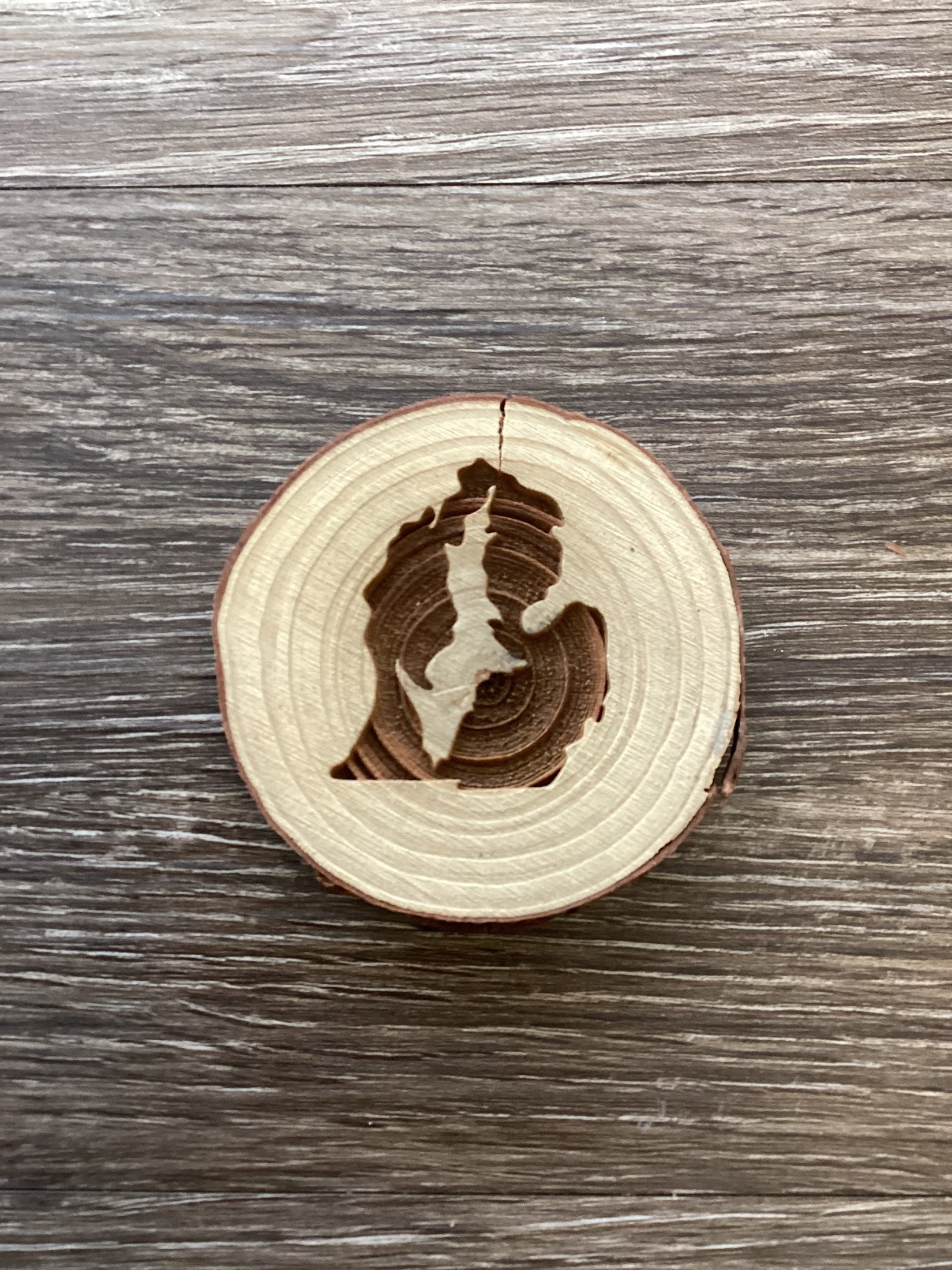 Up Inside Lp - Michigan - Wooden Log Magnet