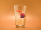 Sunset Michigan 16oz Full Color Pint Glass
